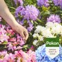 Pokon Hortensia mest